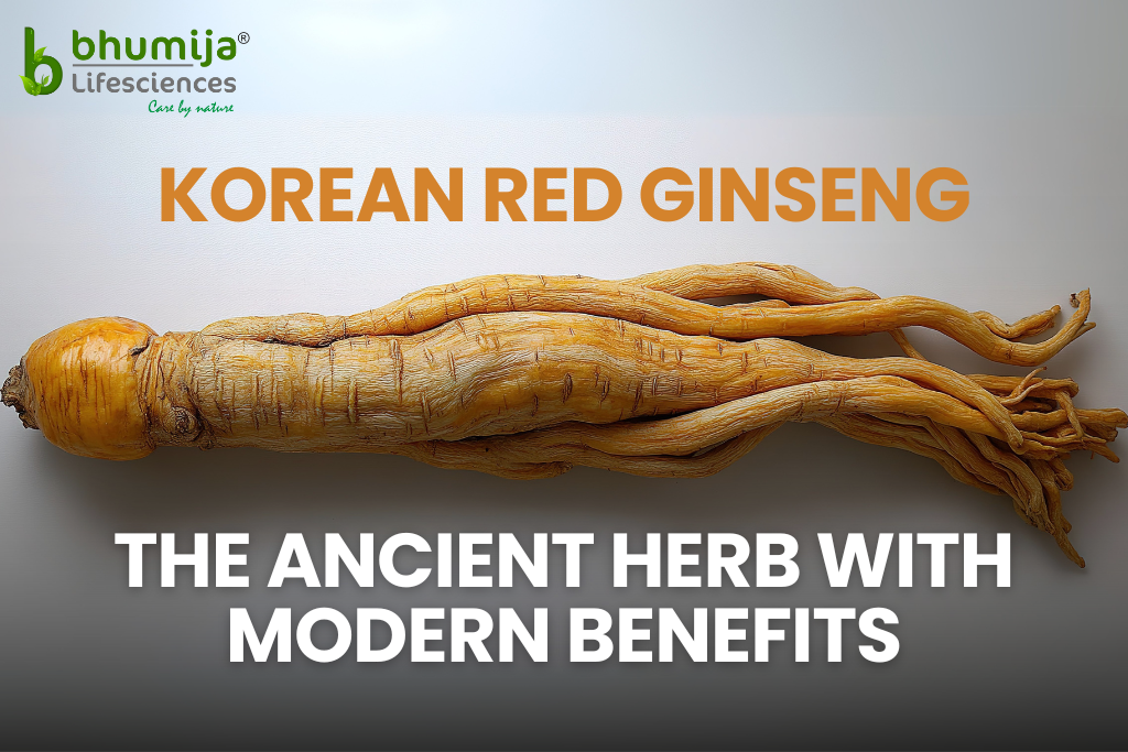 Korean Red Ginseng: The Ancient Herb with Modern Benefits