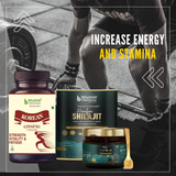 Complete Performance Combo: Bhumija Korean ginseng Capsules with Shilajit Resin