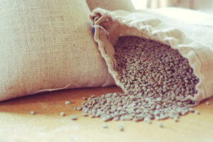 Top 7 Benefits of Plant-Based Collagen for Skin, Hair & Joints