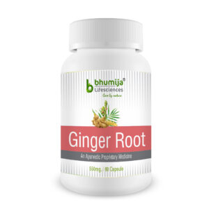 Bhumija Lifesciences Ginger Root 60 Capsules