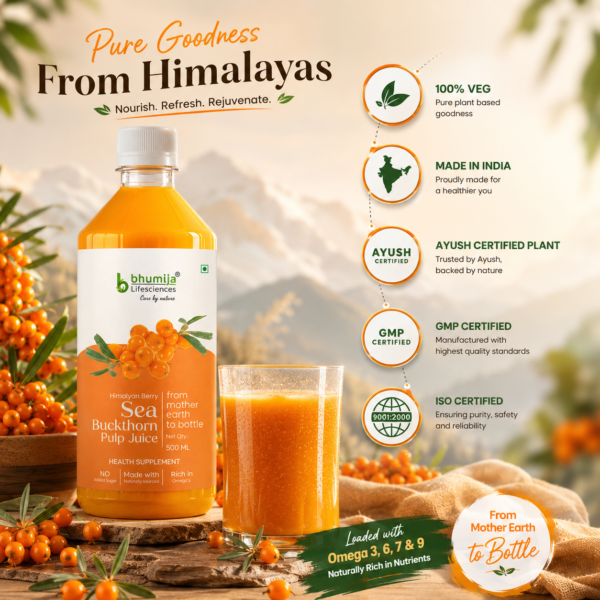 Bhumija Lifesciences Sea Buckthorn Juice bottle with fresh sea buckthorn berries, a glass of orange juice, and certification badges including AYUSH, GMP, and ISO on a premium promotional background.