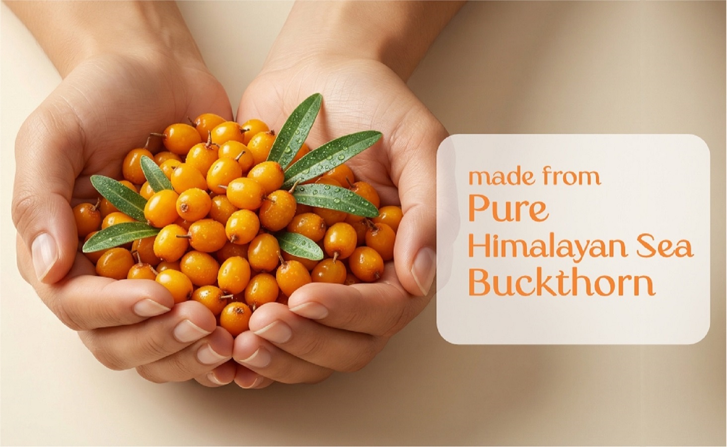 FSSAI and ISO certified Bhumija Sea Buckthorn Juice labels ensuring 100% natural and safe quality.