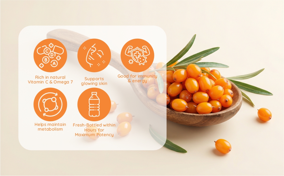 Wild-harvested Himalayan Sea Buckthorn berries used in Bhumija Lifesciences cold-pressed juice.