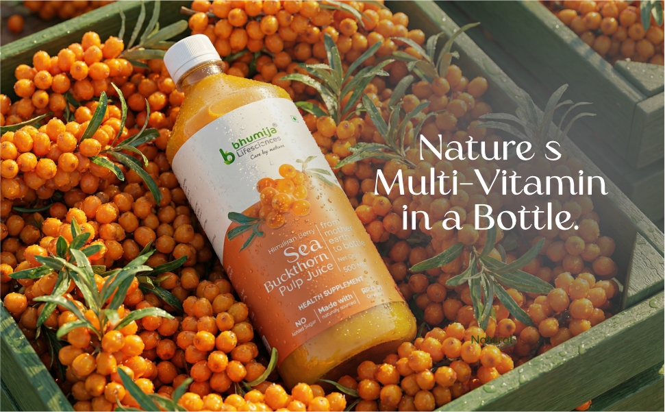 Nutritional chart of Bhumija Sea Buckthorn showing Omega 3, 6, 9, and rare Omega 7 fatty acids.