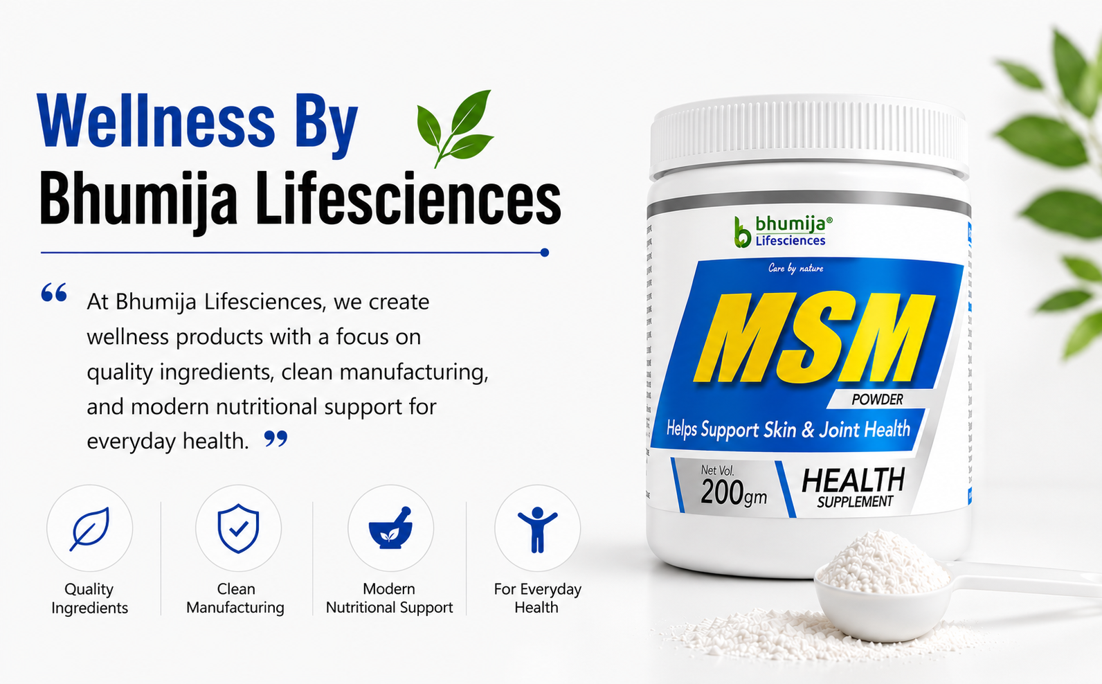 Wellness by Bhumija Lifesciences MSM A+ supplement product image
