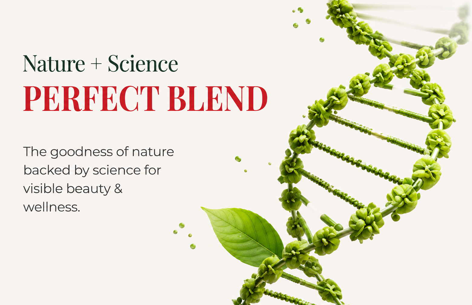ature-inspired Bhumija Plant Based Collagen Powder with vegan ingredients and clean wellness nutrition support