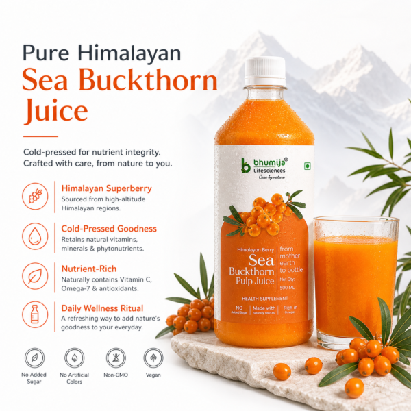 Bhumija Lifesciences Pure Himalayan Sea Buckthorn Juice with natural berries and juice
